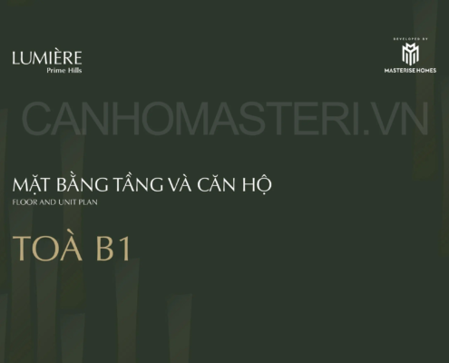 Mặt bằng căn hộ Tòa B1 Skyline Lumiere Prime Hills