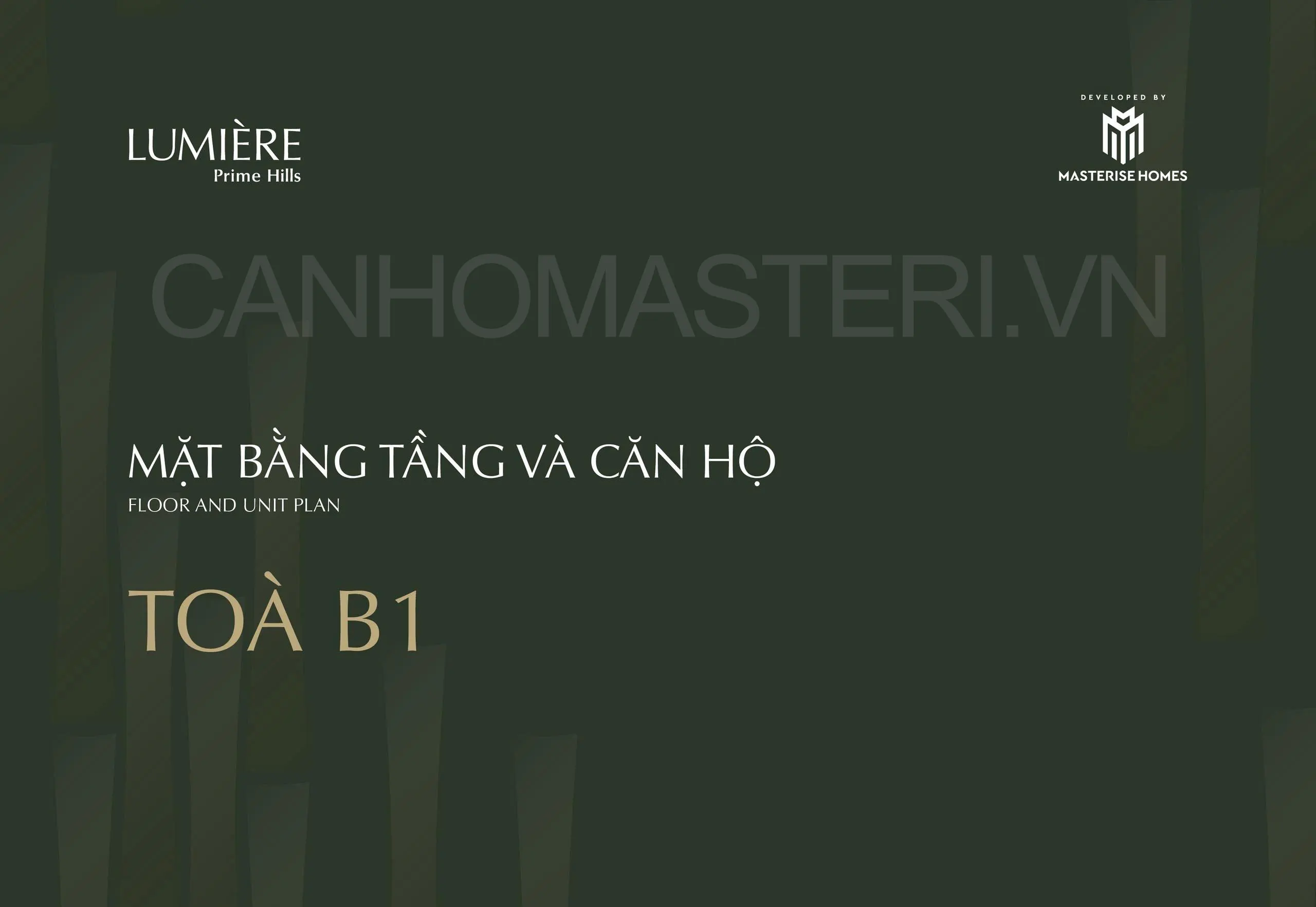 Mặt bằng căn hộ Tòa B1 Skyline Lumiere Prime Hills